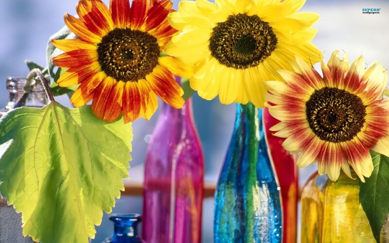 Sunflowers in Colorful Bottles