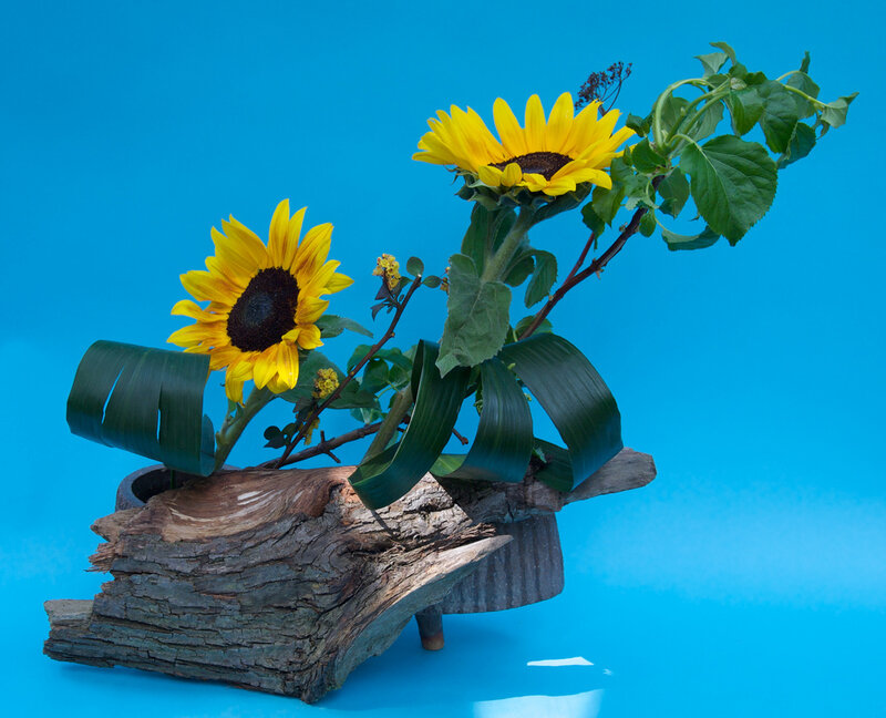 Sunflowers in Driftwood