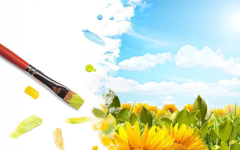 Sunflowers in Field — Yellow, Bright, Summer