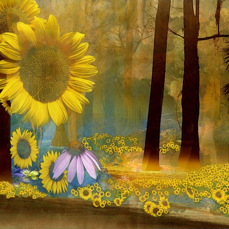 Sunflowers in Forest