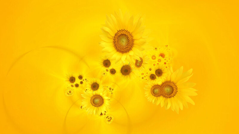 Sunflowers in Fractal Pattern — Yellow, Vibrant, Digital Art