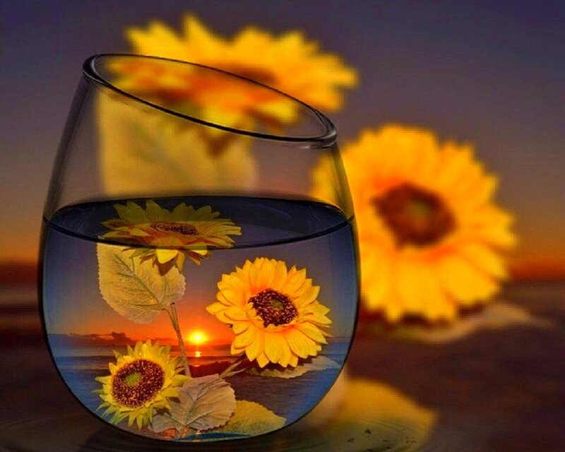 Sunflowers in Glass