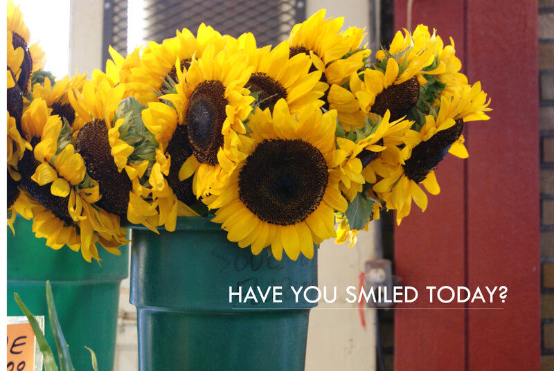 Sunflowers in Green Buckets