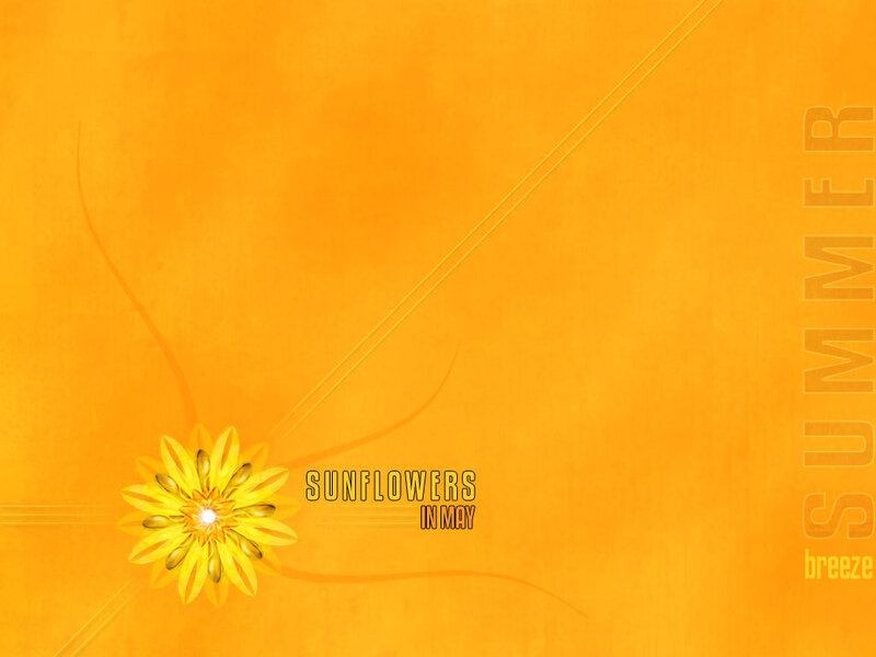 Sunflowers in May