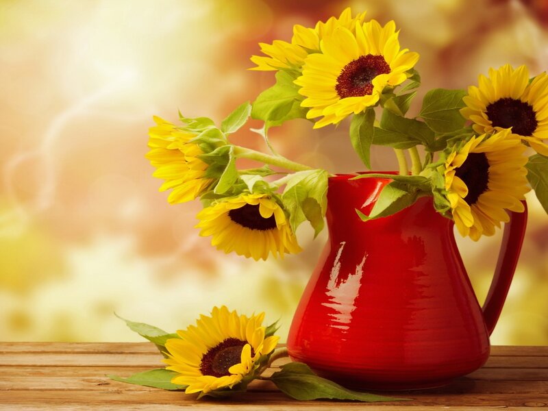 Sunflowers in Red Pitcher — Yellow, Warm
