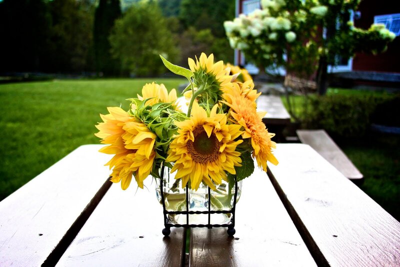 Sunflowers in Vase