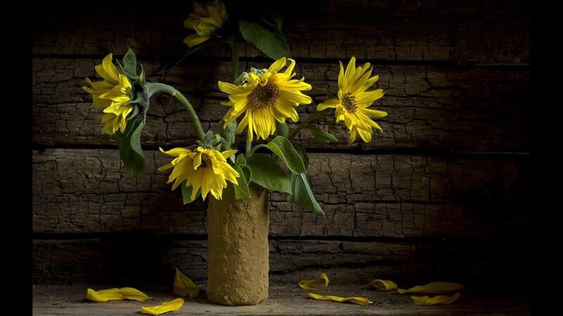 Sunflowers in Vase — Yellow, Dramatic