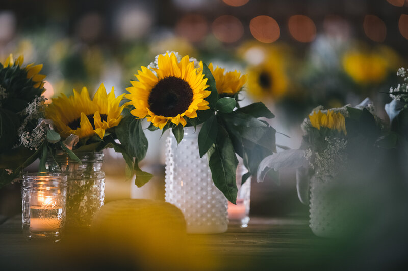 Sunflowers in Vases — Yellow, Warm