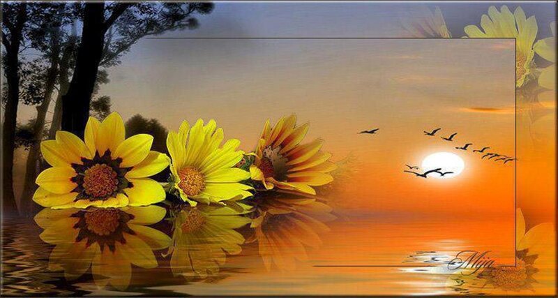 Sunflowers in Water