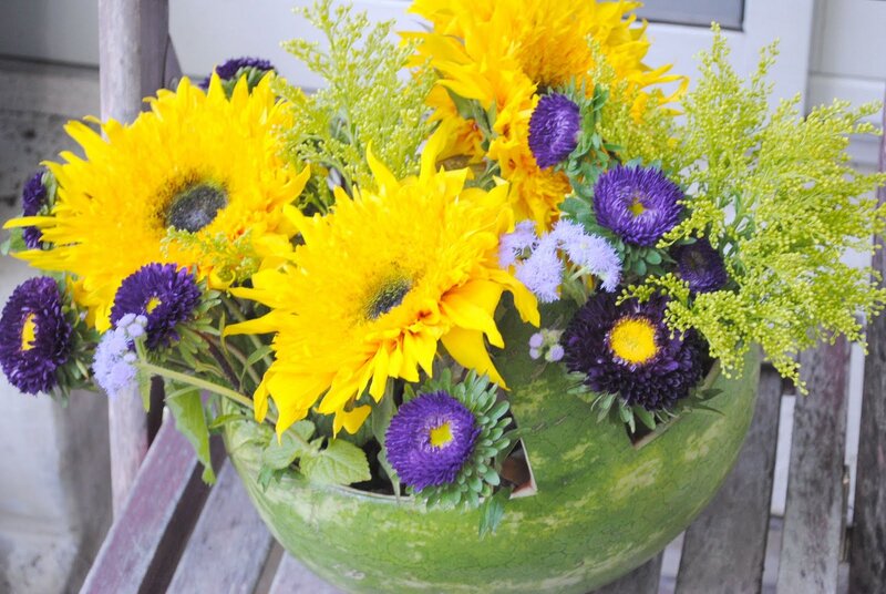 Sunflowers in Watermelon