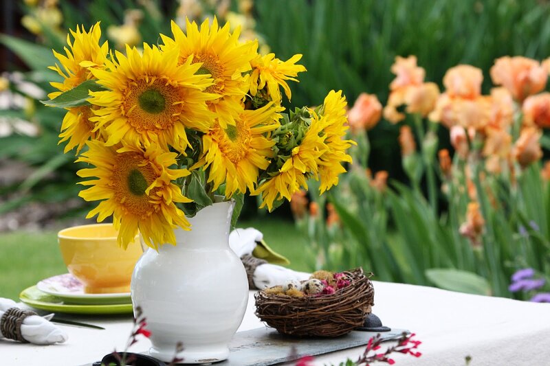 Sunflowers in White Vase