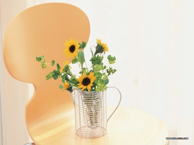 Sunflowers in Wire Vase