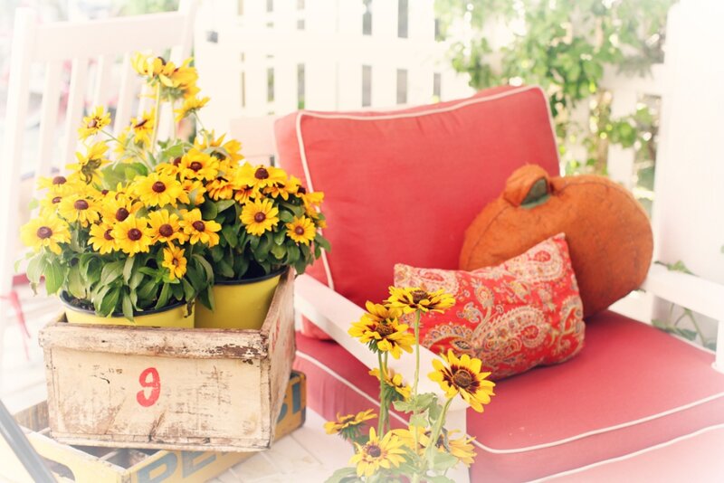 Sunflowers in Wooden Crate