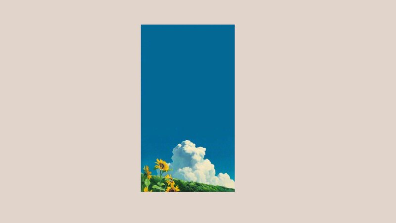 Sunflowers on a Hill