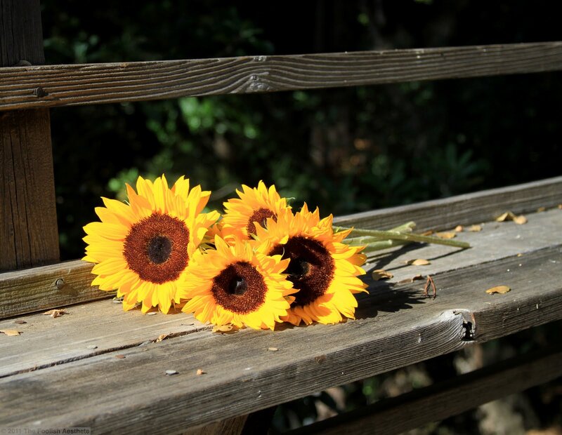 Sunflowers on Bench