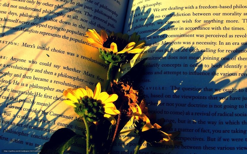 Sunflowers on Book Pages — Yellow