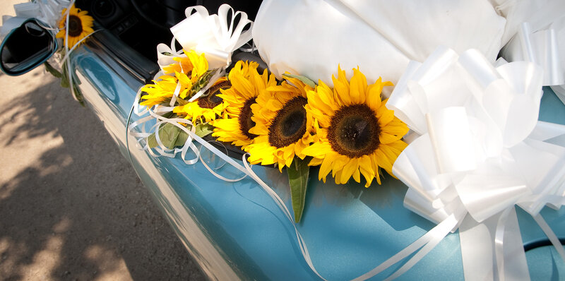 Sunflowers on Car