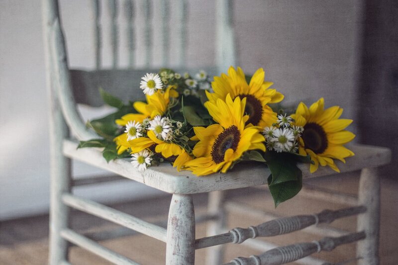 Sunflowers on Chair