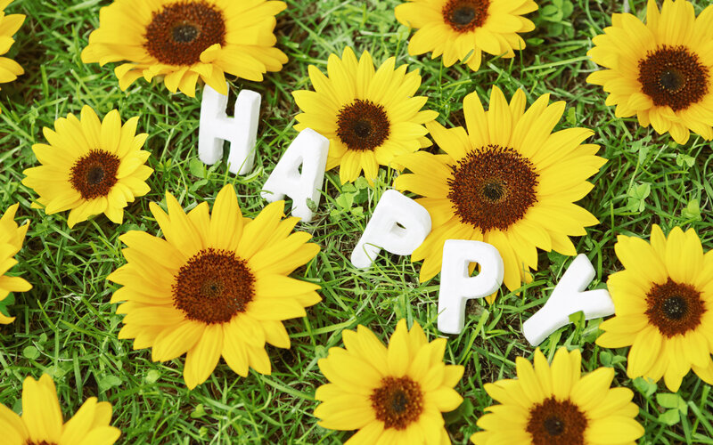 Sunflowers on Grass — Yellow, Cheerful