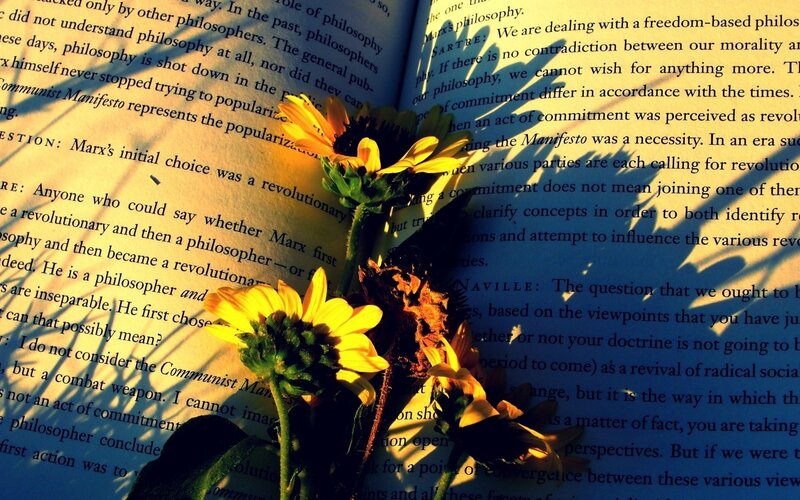 Sunflowers on open book