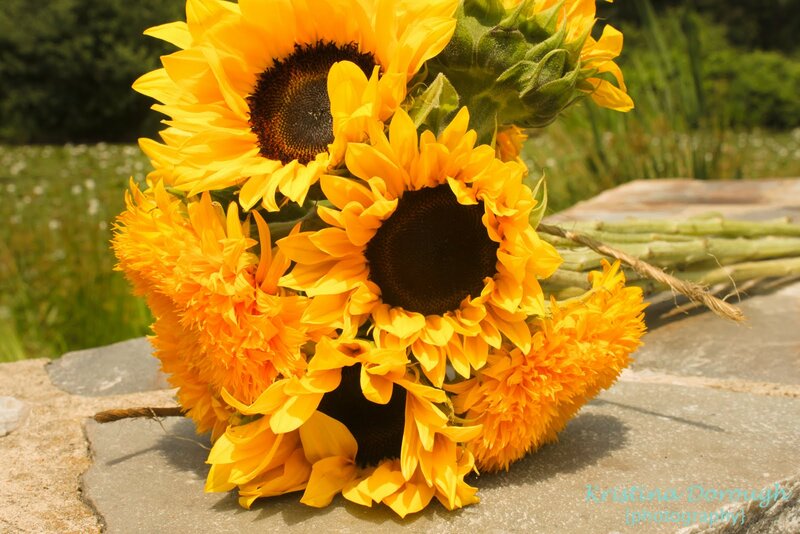 Sunflowers on Stone