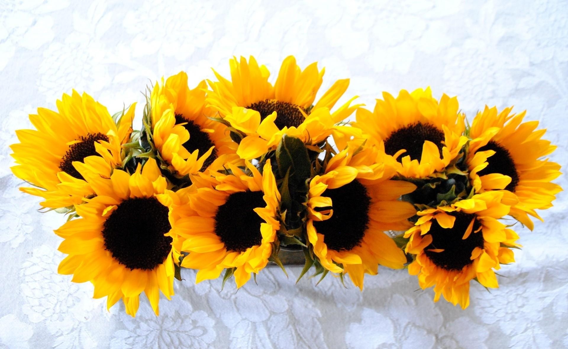 Sunflowers on white tablecloth