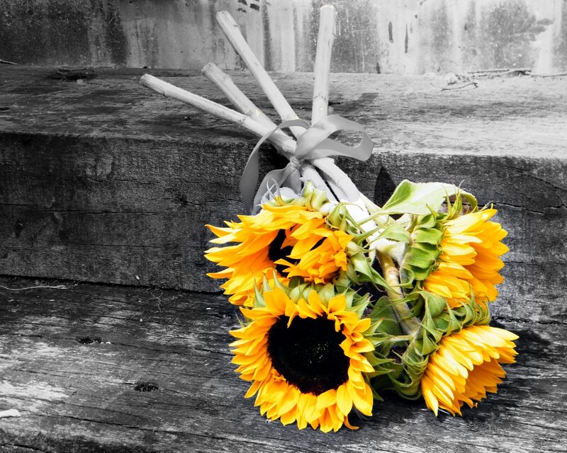 Sunflowers on Wood