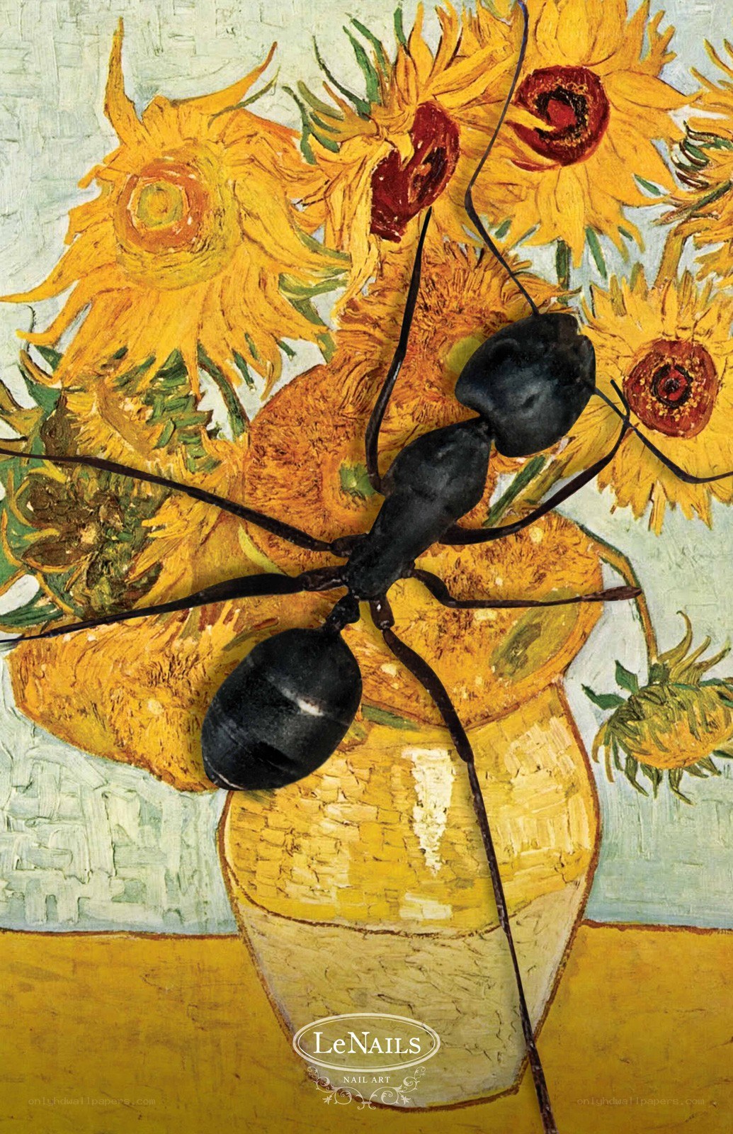 Sunflowers with an ant