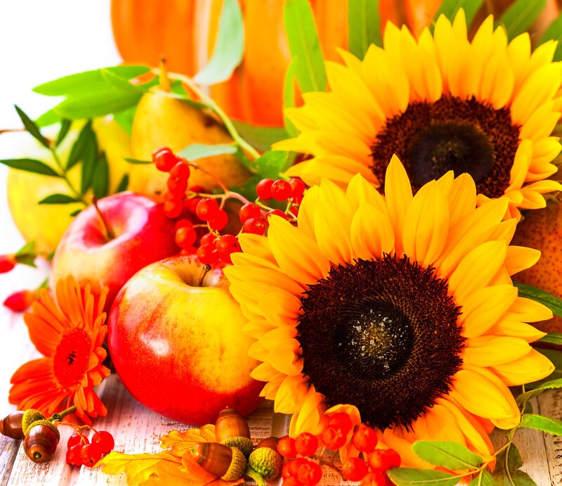 Sunflowers with Apples