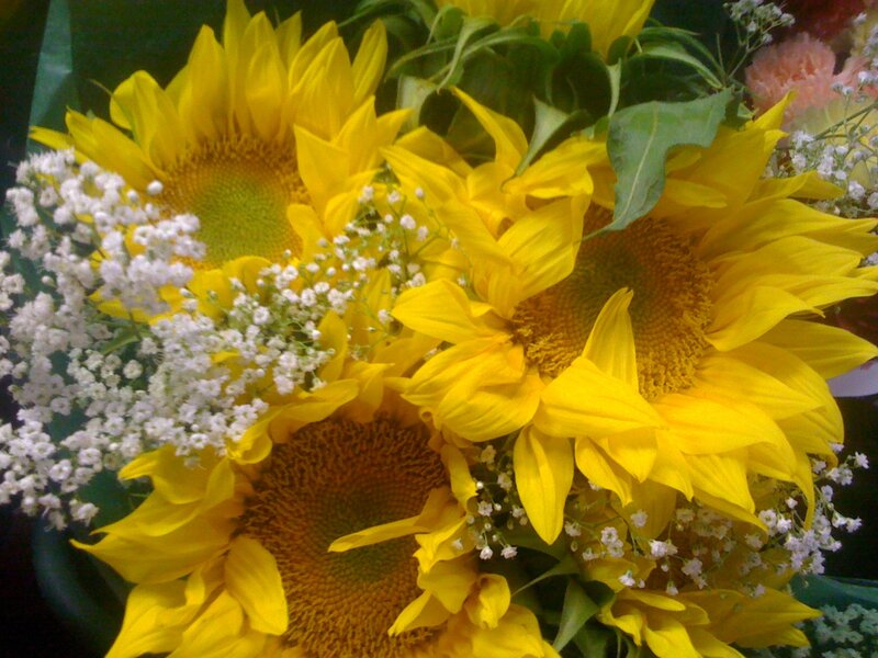 Sunflowers with baby's breath