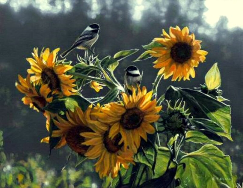 Sunflowers with birds