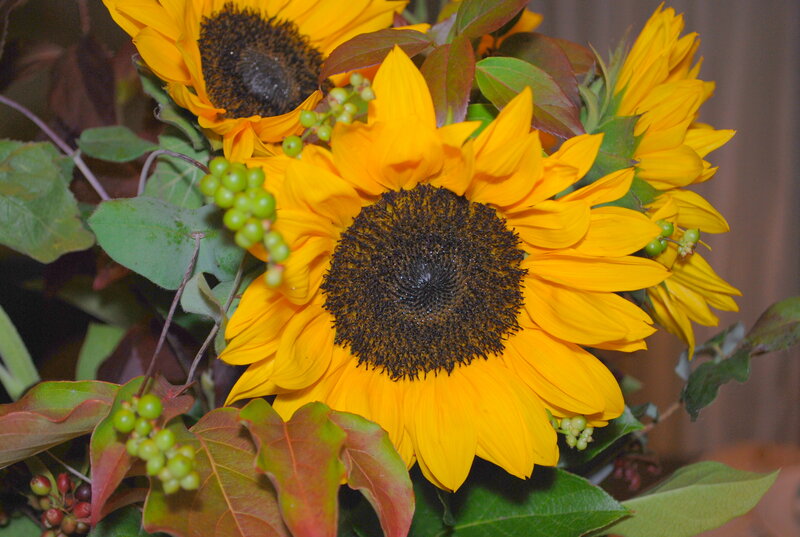 Sunflowers with Green Berries