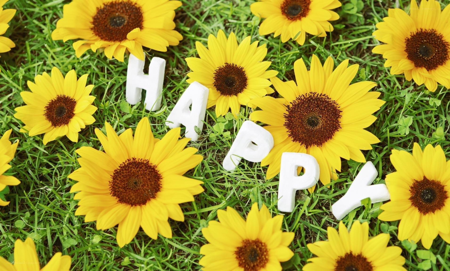 Sunflowers with Happy letters