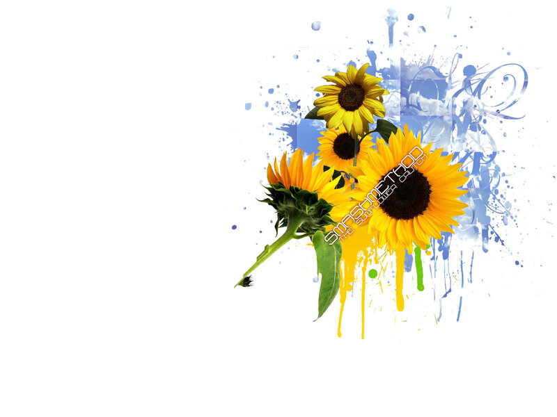 Sunflowers with Paint Splatters