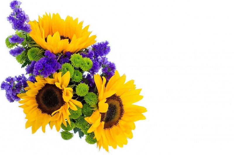 Sunflowers with Purple Flowers