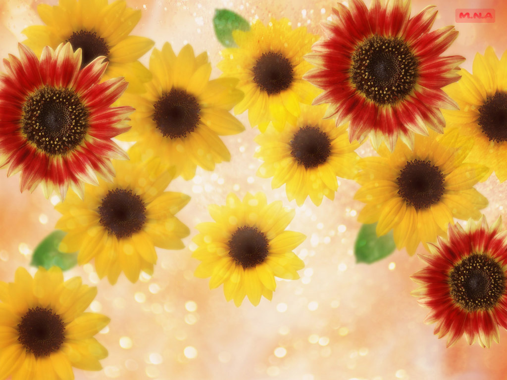 Sunflowers with sparkles