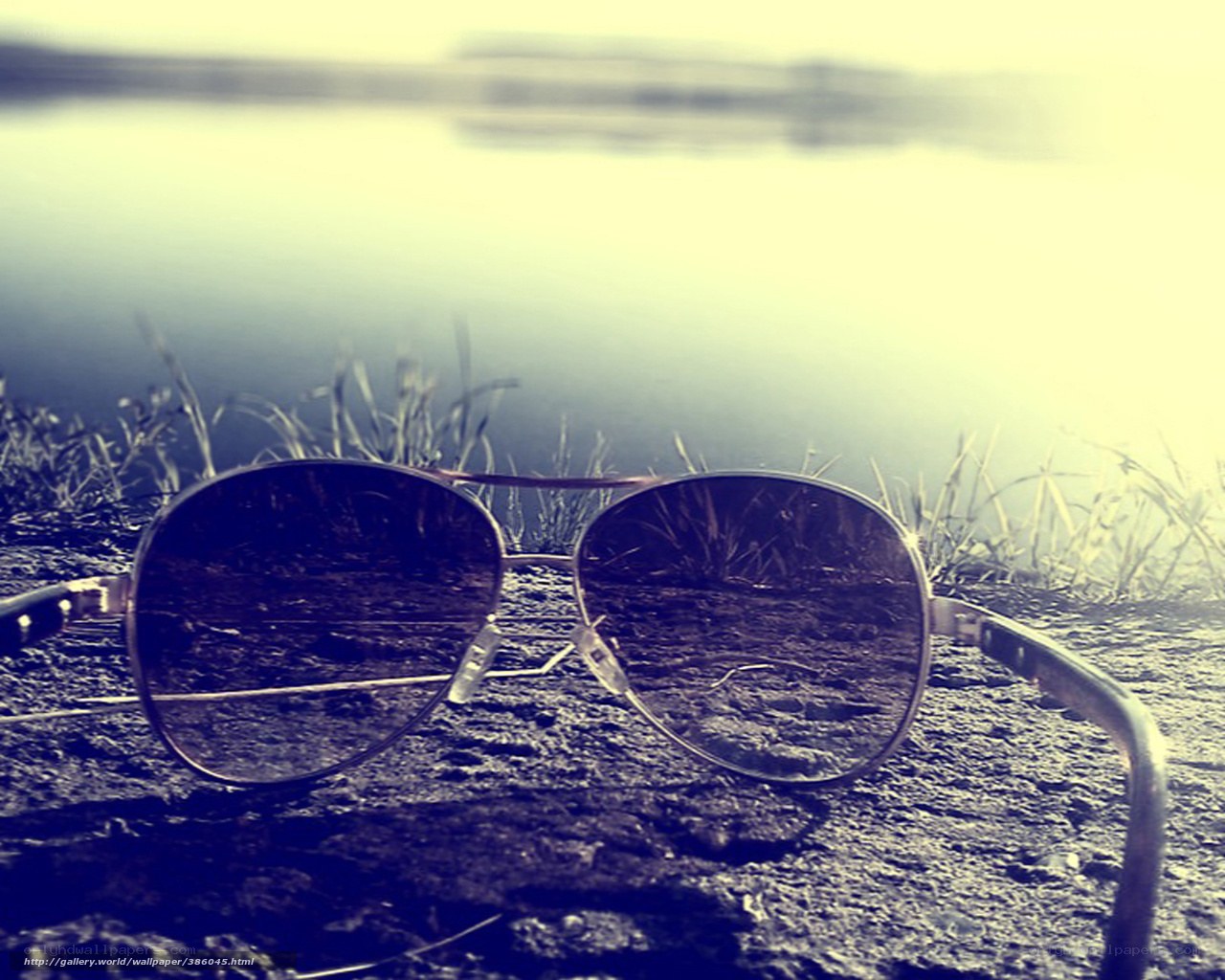 sunglasses by the lake