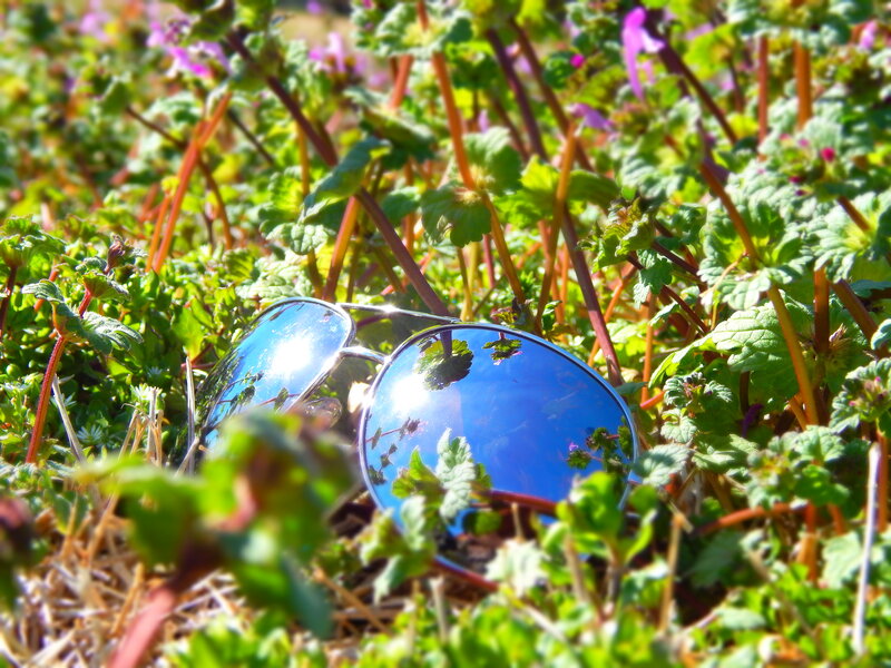 Sunglasses in Grass — Green