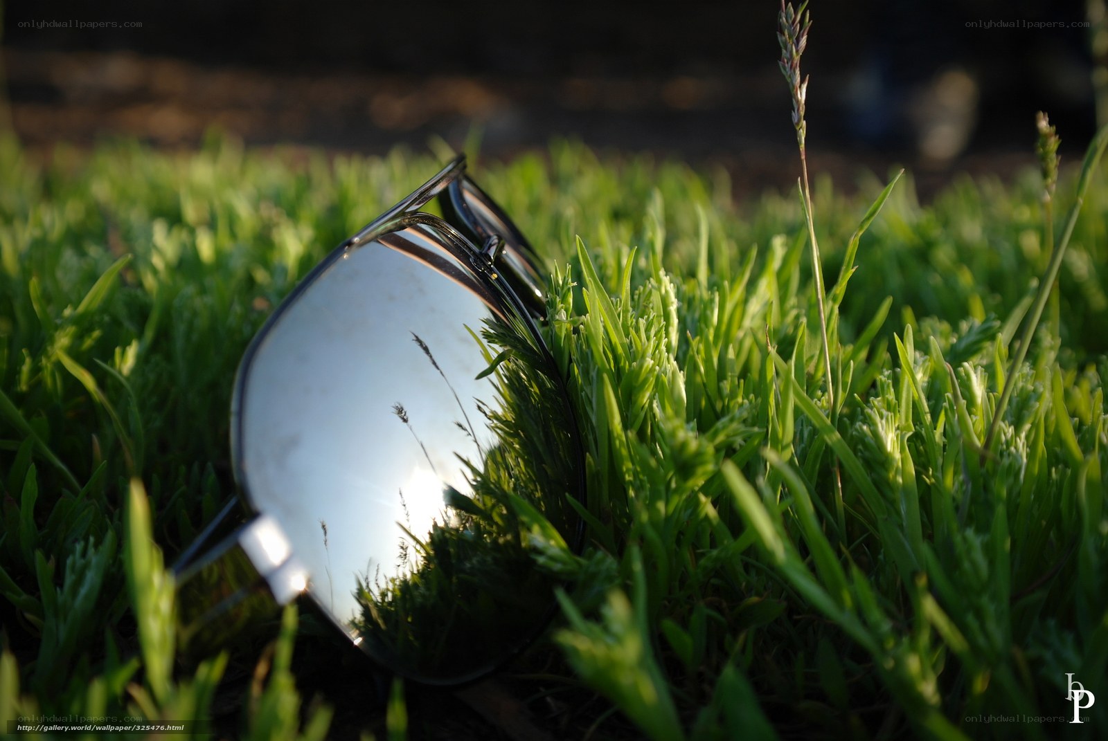 sunglasses in grass