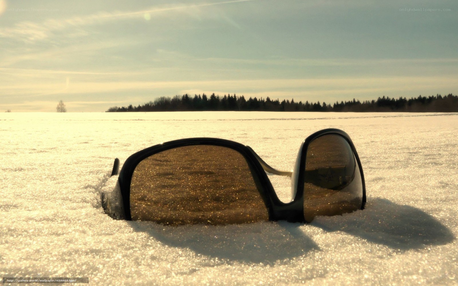sunglasses in snowy field