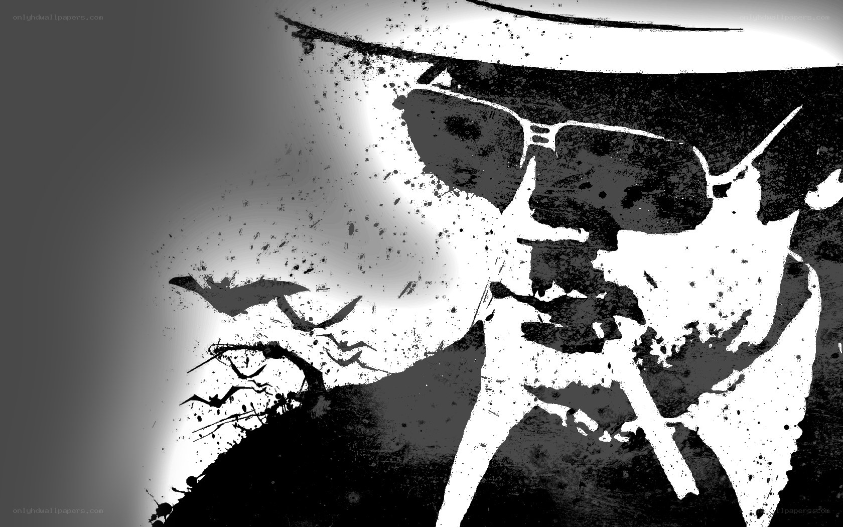 sunglasses man with bats
