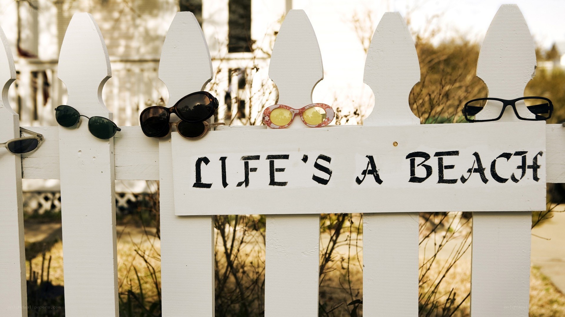 sunglasses on a fence