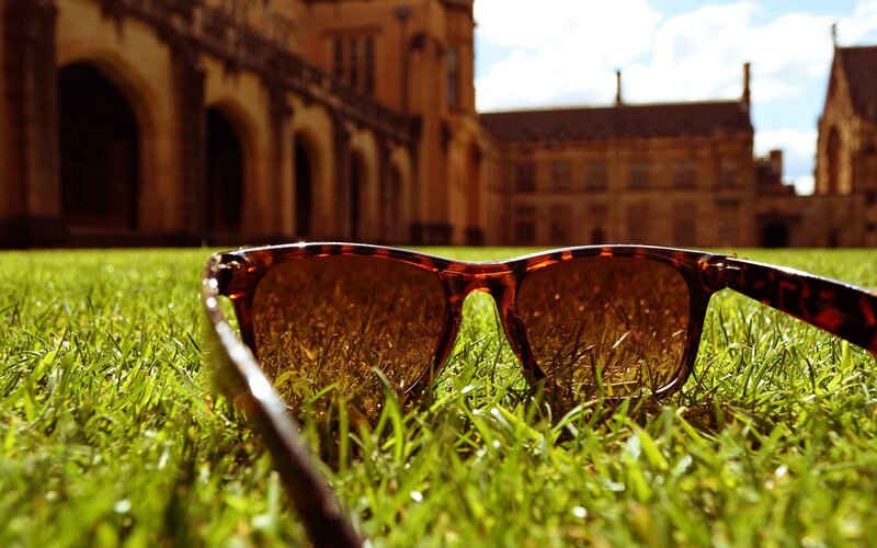 Sunglasses on Grass