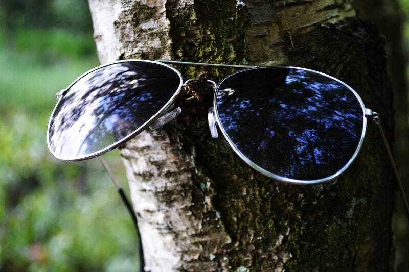 Sunglasses on Tree