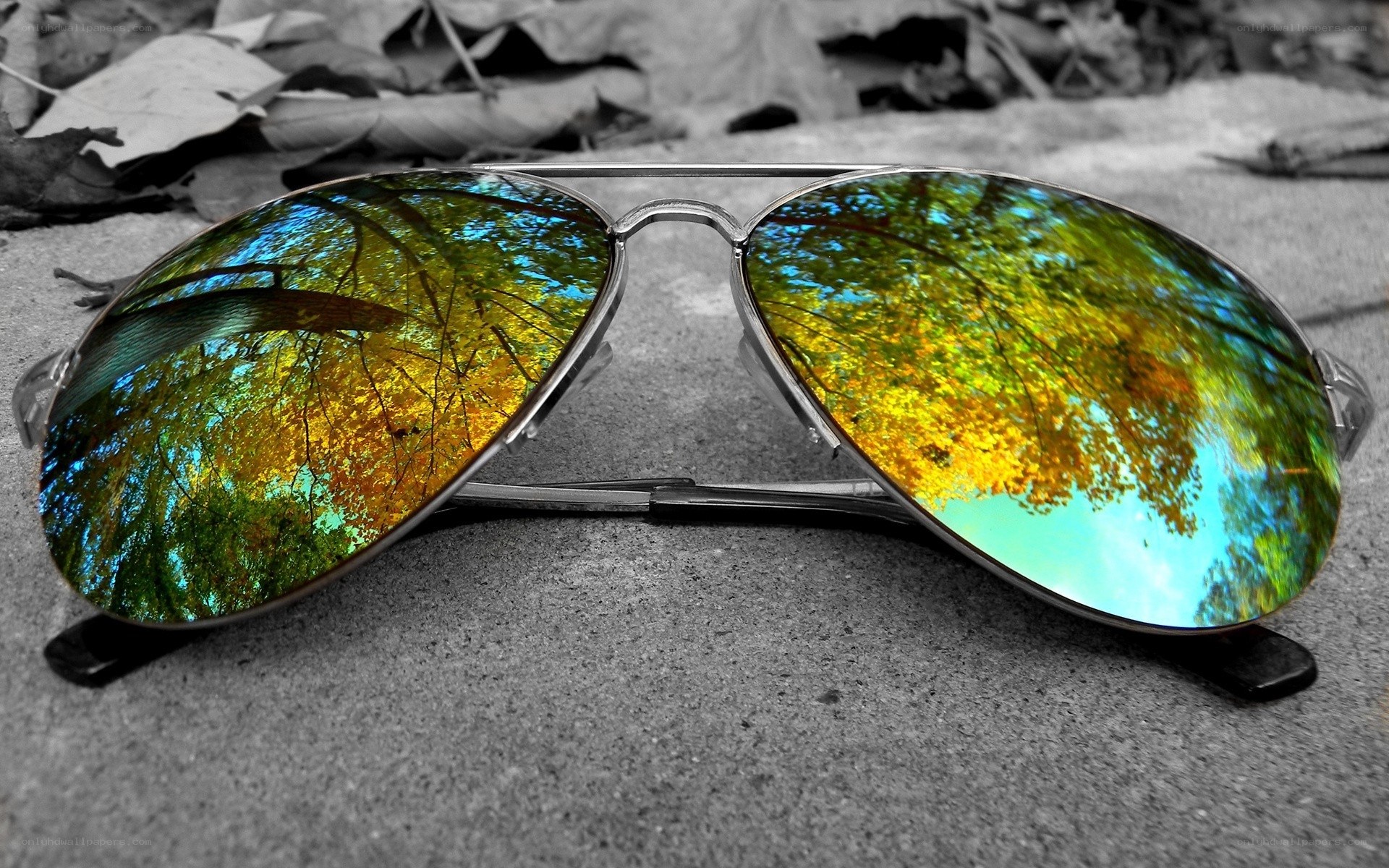 sunglasses reflecting autumn trees