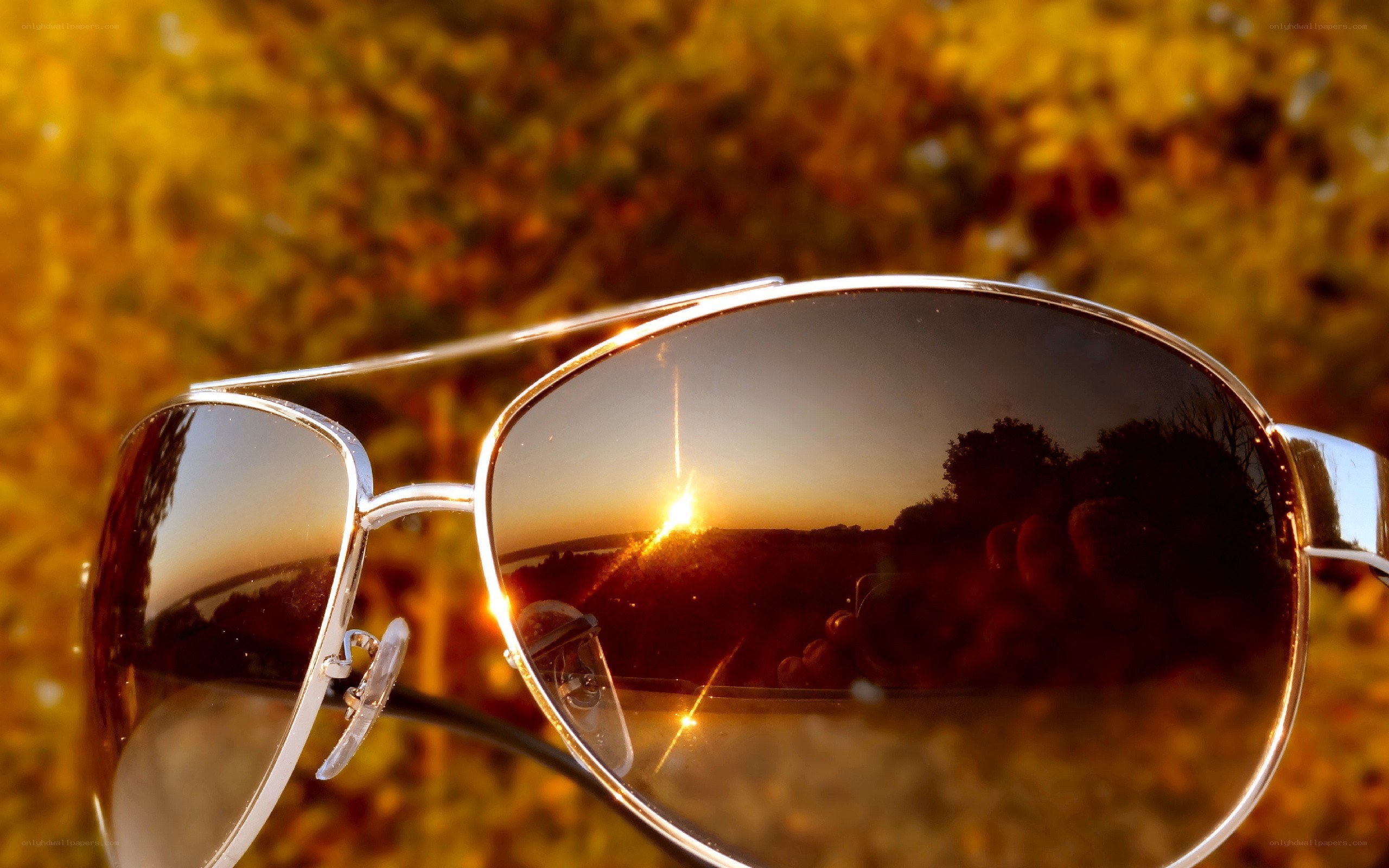 sunglasses reflecting sunset