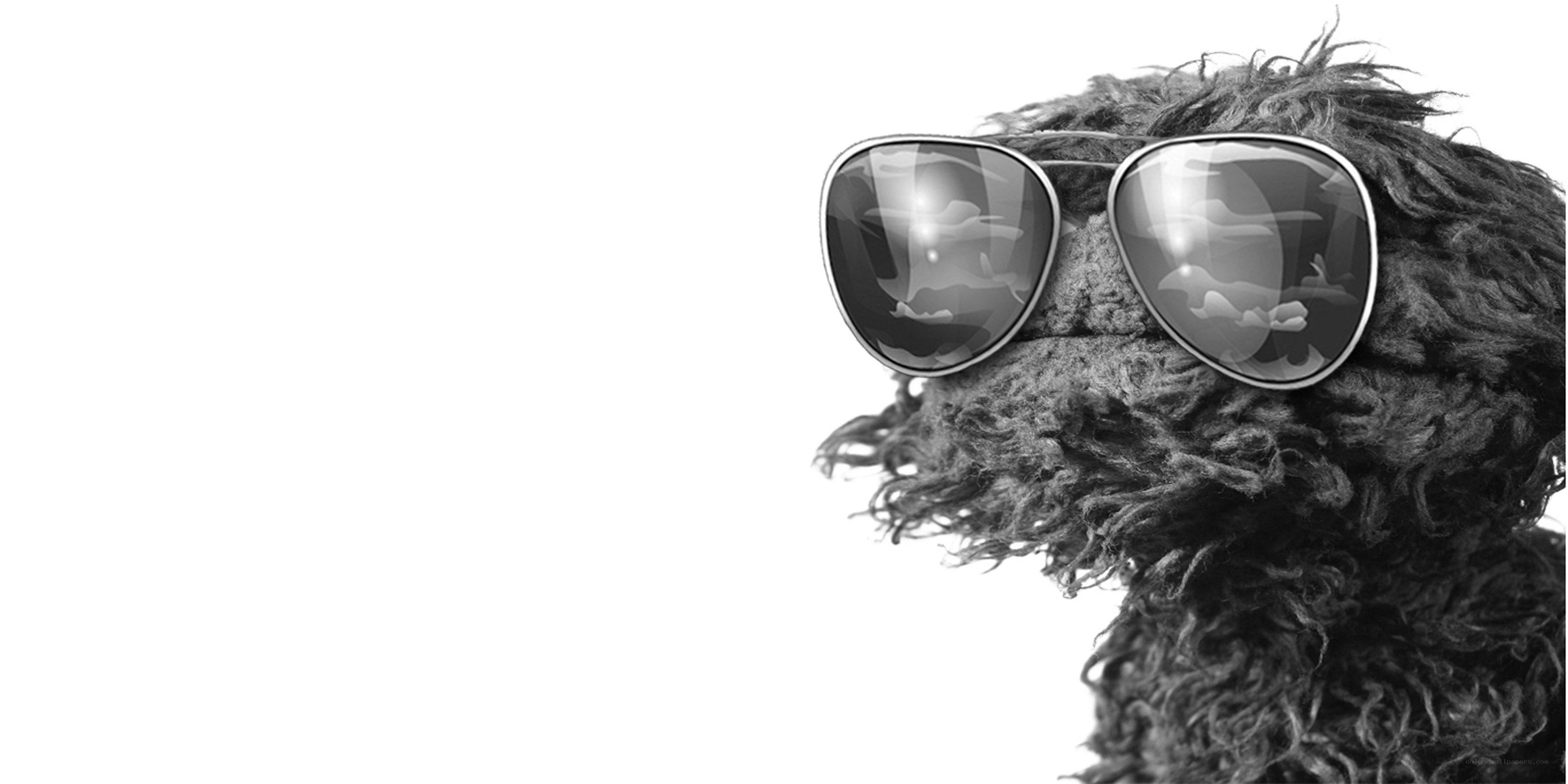 sunglasses-wearing muppet