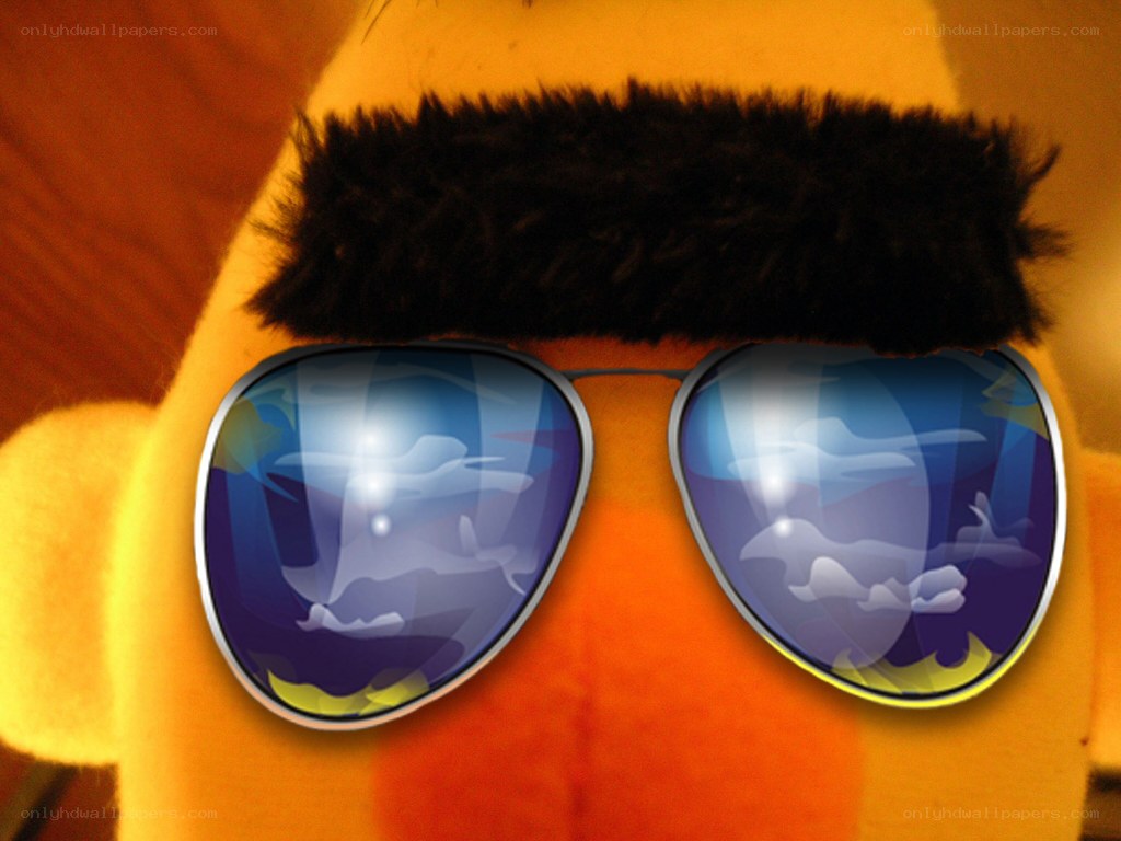 Sunglasses-wearing puppet close-up