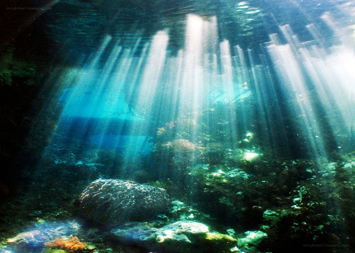 Sunlight beams in underwater cave