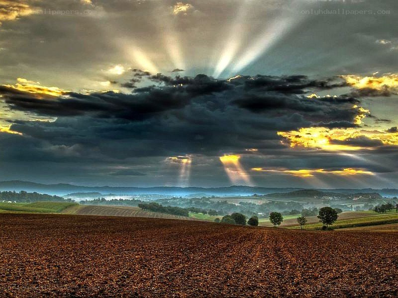 Sunlight beams over a plowed field